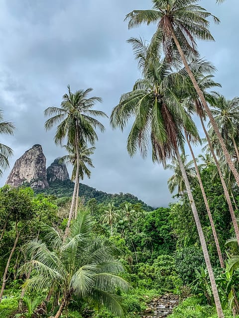 пальмы и гора на острове Тиоман Малайзия