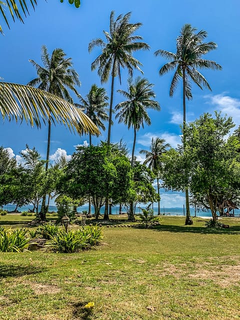 пальмы и море на острове Бесар Pulau Besar